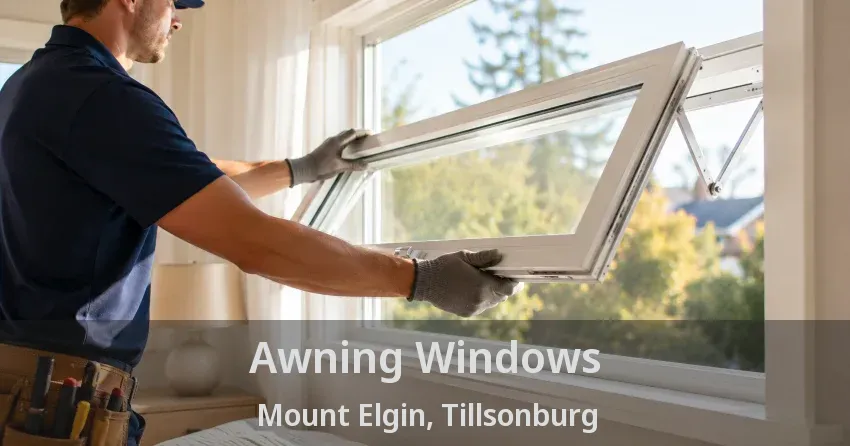 Awning Windows Mount Elgin, Tillsonburg - ON