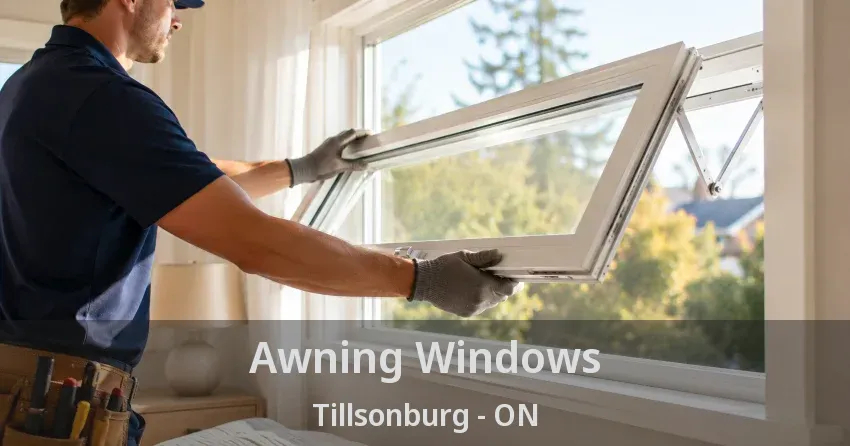 Awning Windows Tillsonburg - ON
