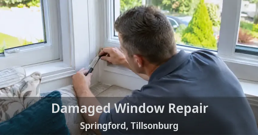 Damaged Window Repair Springford, Tillsonburg - ON