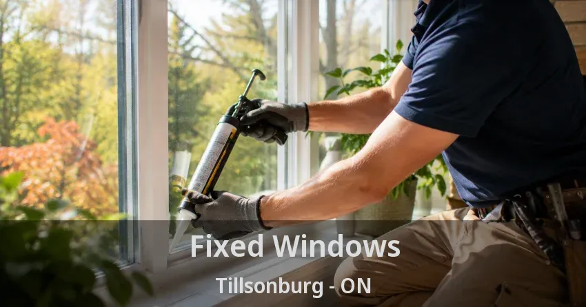 Fixed Windows Tillsonburg - ON