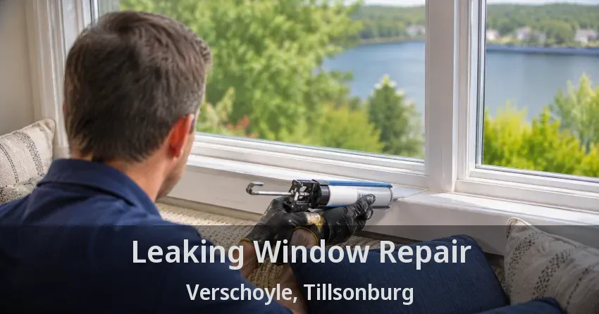 Leaking Window Repair Verschoyle, Tillsonburg - ON