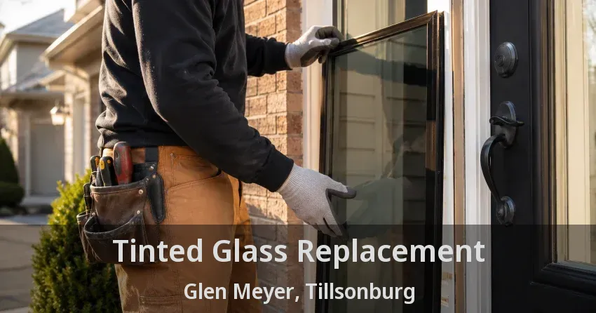 Tinted Glass Replacement Glen Meyer, Tillsonburg - ON