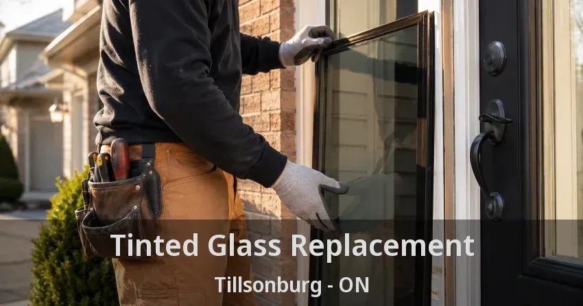 Tinted Glass Replacement Tillsonburg - ON